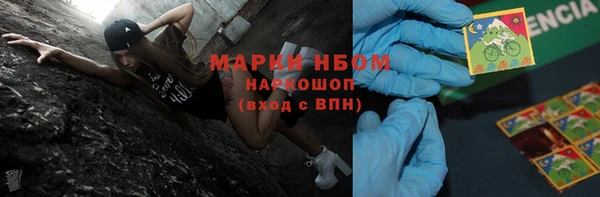 хмурый Арсеньев