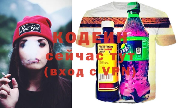 хмурый Арсеньев