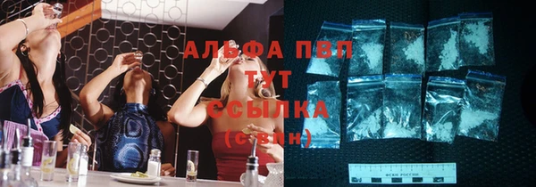 хмурый Арсеньев