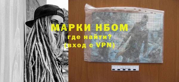 хмурый Арсеньев