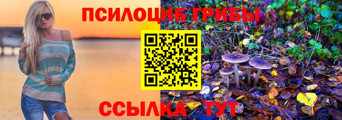 Белово  купить наркотик  Галлюциногенные грибы Psilocybine cubensis  Вход с VPN  Галлюциногенные грибы мицелий 