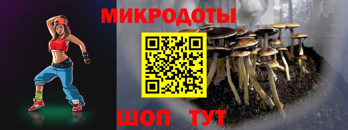 Псилоцибиновые грибы прущие грибы Белово
